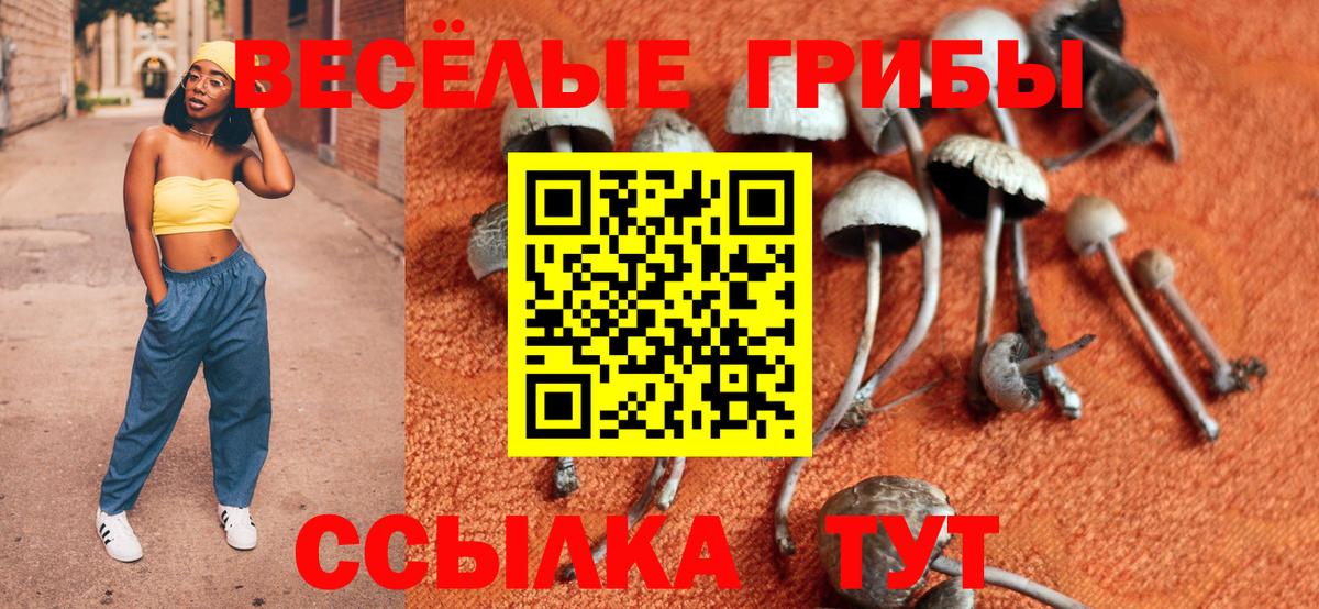 Галлюциногенные грибы мухоморы Горячий Ключ