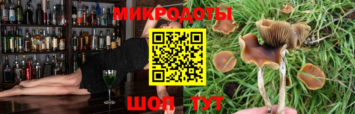 Псилоцибиновые грибы MAGIC MUSHROOMS  Псилоцибиновые грибы Psilocybine cubensis  Вход с VPN  продажа наркотиков  Горячий Ключ 