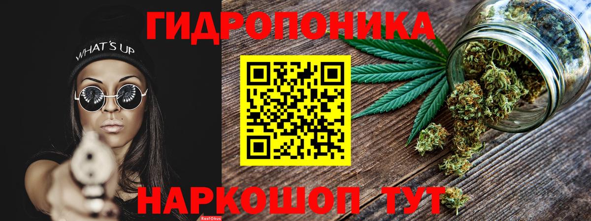 Конопля марихуана Горячий Ключ